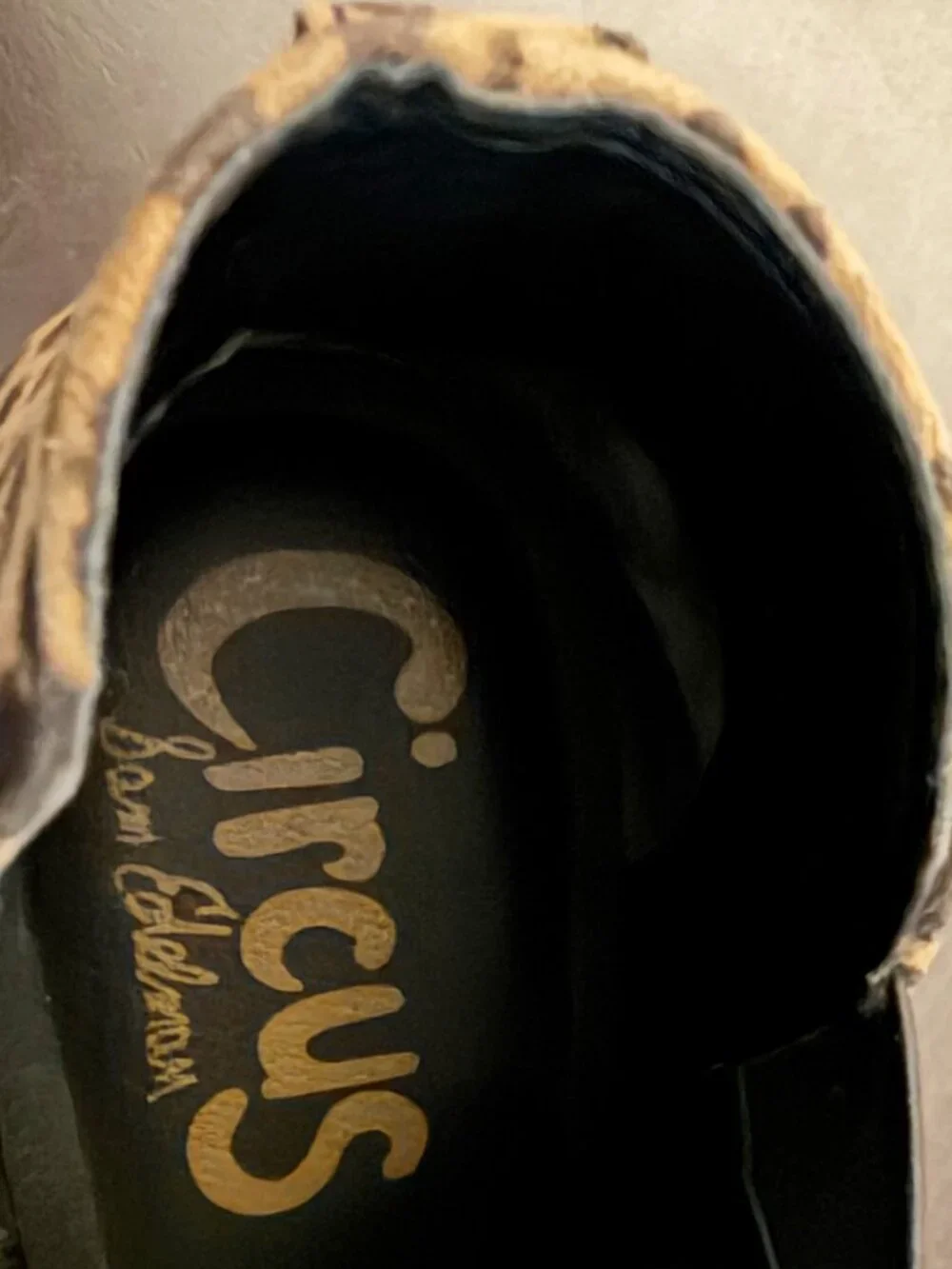 Circus by Sam Edelman these striking